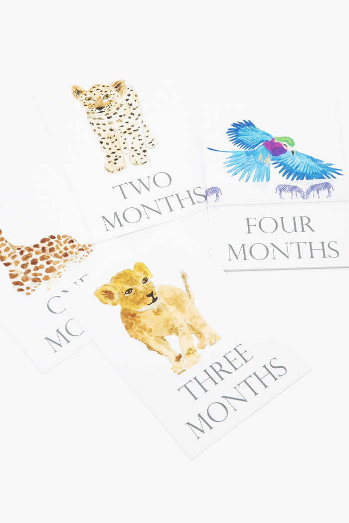 Peep's Paper Products offers four illustrated baby milestone cards featuring a cheetah, lion cub, leopard, and parrot in watercolor for months one to four, displayed on a white surface.