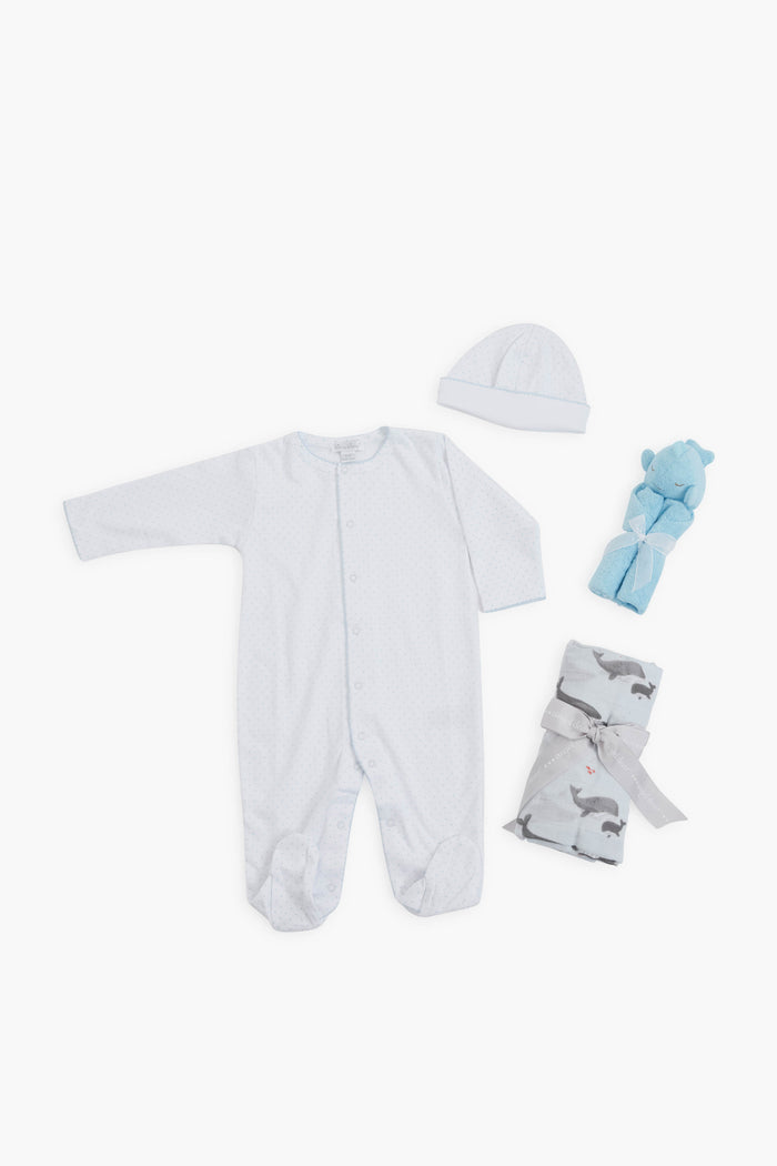 Baby Boy Gift Bundle