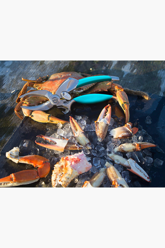 Crab and Lobster Tool Set