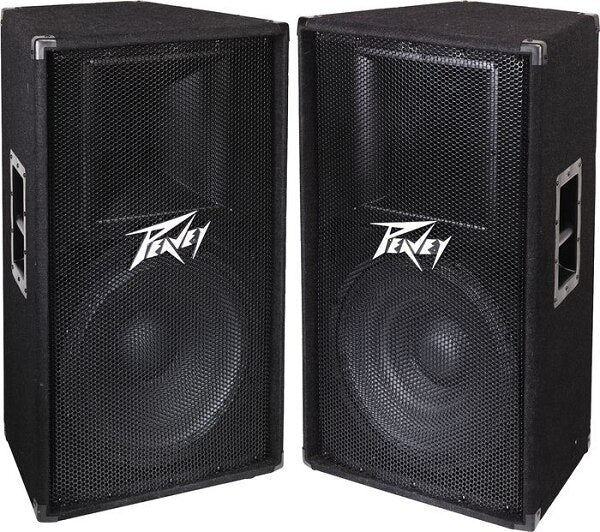 [DUPLICATED] Peavey PV115D + PV115 Bundle - Audiofeen