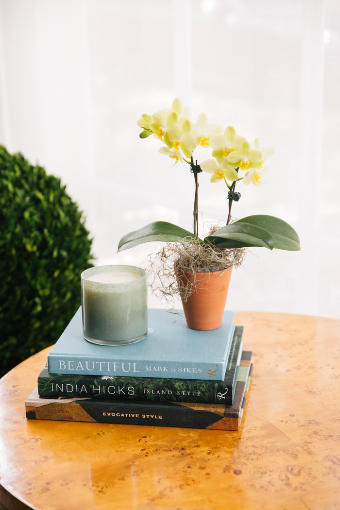 Fresh Cut Gardenia Signature Candle