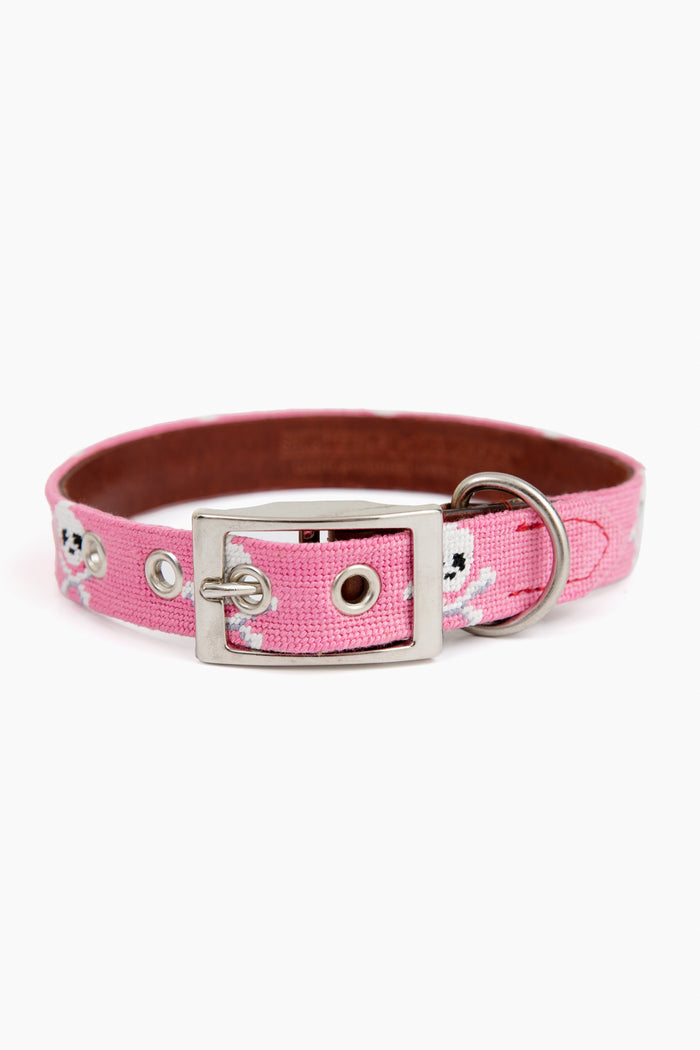 Jolly Roger Needlepoint Dog Collar