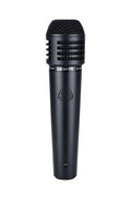 Lewitt MTP 440 DM Reference Class Condenser - Audiofeen