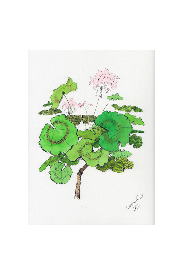 Light Pink Geraniums Set of 2 Prints
