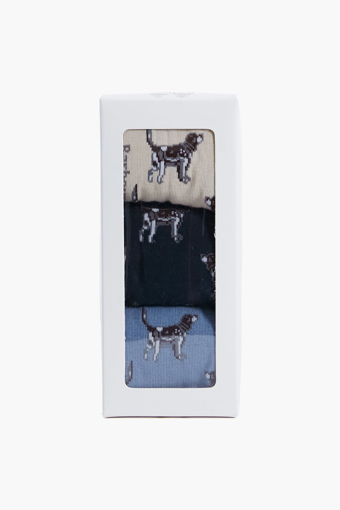 Navy Pointer Dog Socks Gift Box