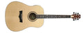 Peavey 3018240 DW-2 Acoustic Guitar - Audiofeen