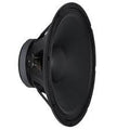 Peavey 497080 PRO 15 Replacement Woofer - Audiofeen