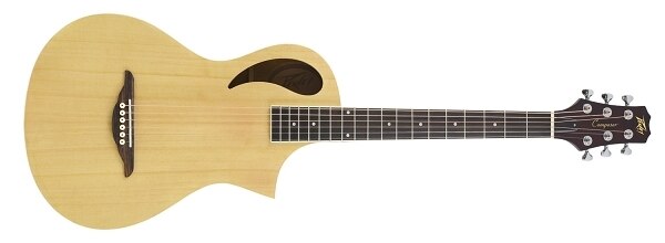 Peavey Composer Guitar - Audiofeen