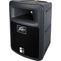 Peavey PR10 Passive Full Range Speaker - Audiofeen