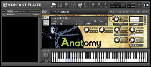 SONiVOX Anatomy - Audiofeen