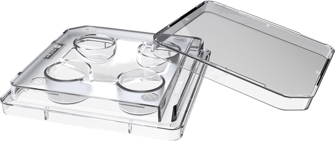 SureGrip 4 well Dish, Non-treated