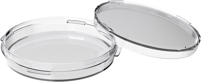 SureGrip ICSI Dish