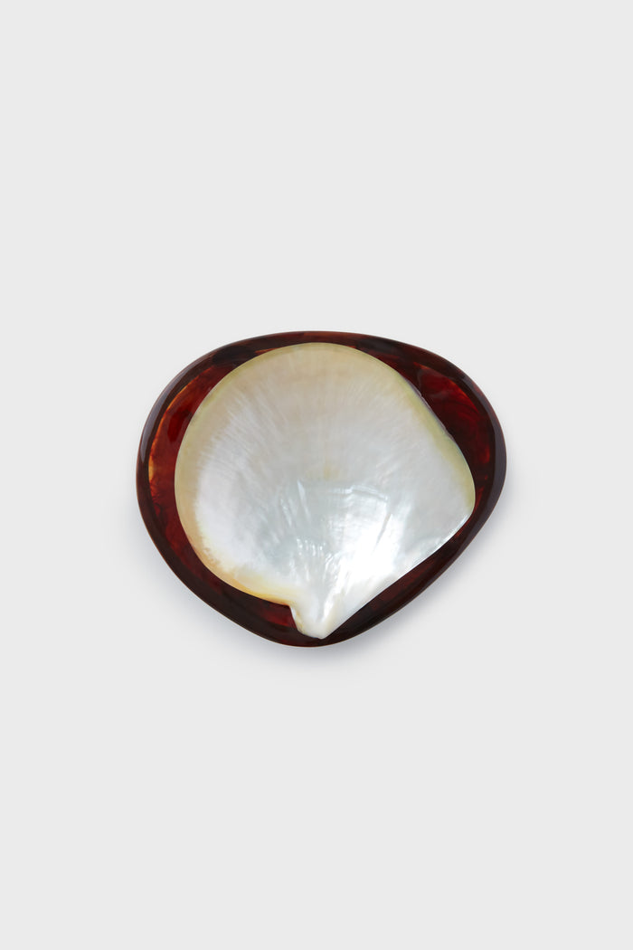 A single, glossy seashell by Lily Juliet featuring a mother of pearl center and dark brown outer edge—perfect as a unique caviar dish.