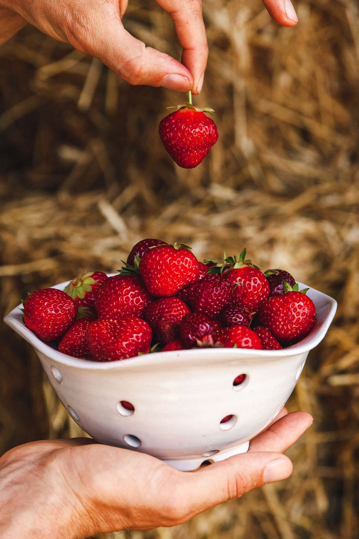 Windrow Berry Bowl