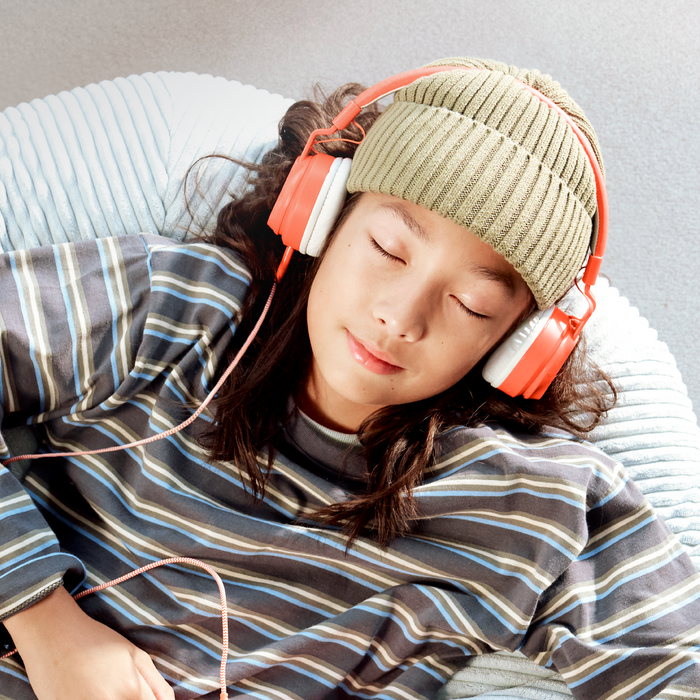 Wired Headphones